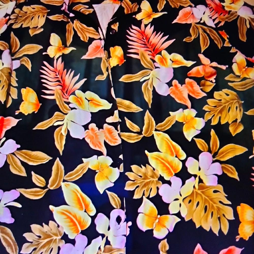 Westbound ll Navy Button up Blouse